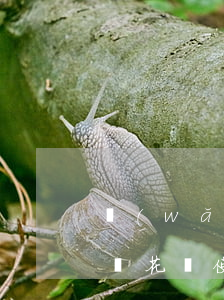 網(wǎng)貸逾期是否會(huì)影響花唄使用？探討相關(guān)問題